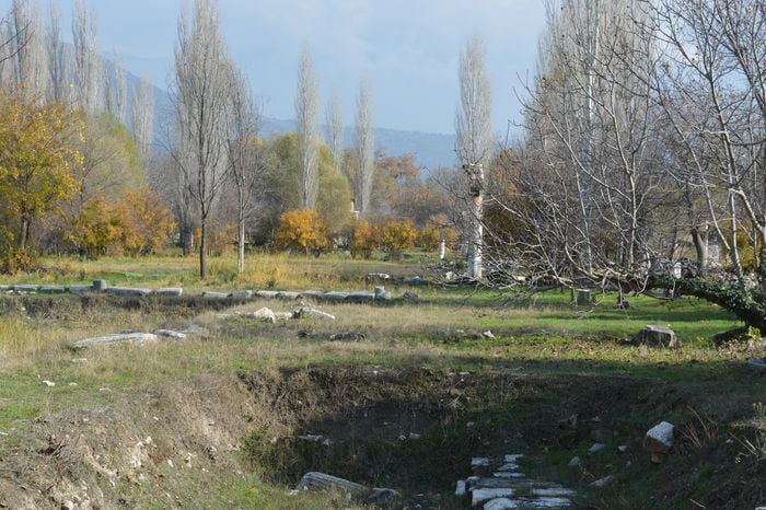 image-.jpg