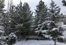 Savunma Stratejileri ve Coğrafi Avantajlar