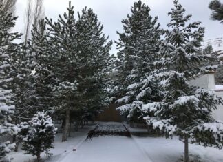 Savunma Stratejileri ve Coğrafi Avantajlar